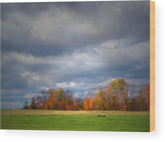 Landscape Wood Print featuring the photograph Tree Line on sunset Hill in New Hampshire by Nancy Griswold
