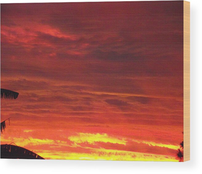 Sunset Wood Print featuring the photograph Tropical Sky by Rani De Leeuw