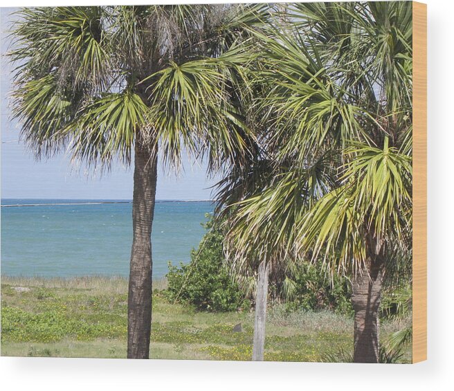 Palm Trees Wood Print featuring the photograph Tropicals by Kim Galluzzo Wozniak
