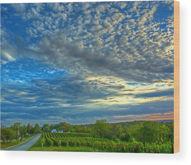  Wine Photographs Wood Print featuring the photograph Vineyard Sunset II by William Fields