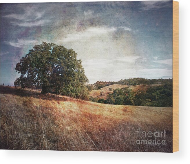 Palo Alto Wood Print featuring the photograph Vista of Distant Memory by Laura Iverson