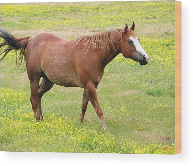 Horse Canvas Prints Wood Print featuring the photograph Walking Horse by Wendy McKennon