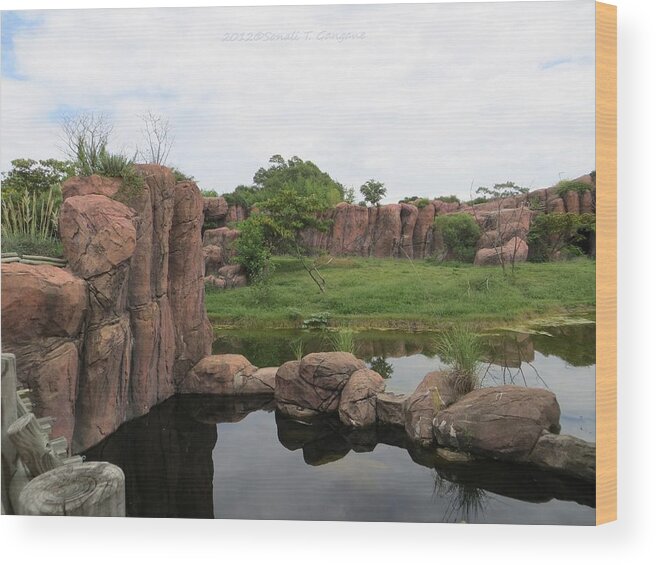 Landscape Wood Print featuring the photograph Waterscape by Sonali Gangane