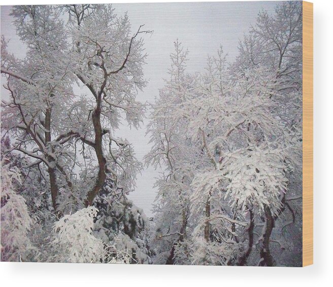 Cheyenne Canyon Wood Print featuring the photograph White On White by Clarice Lakota