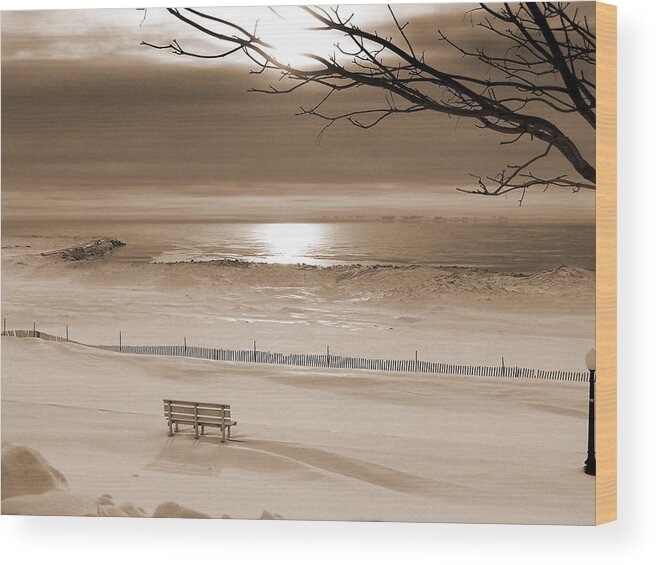 Algoma Wood Print featuring the photograph Winter Beach Morning sepia by Bill Pevlor