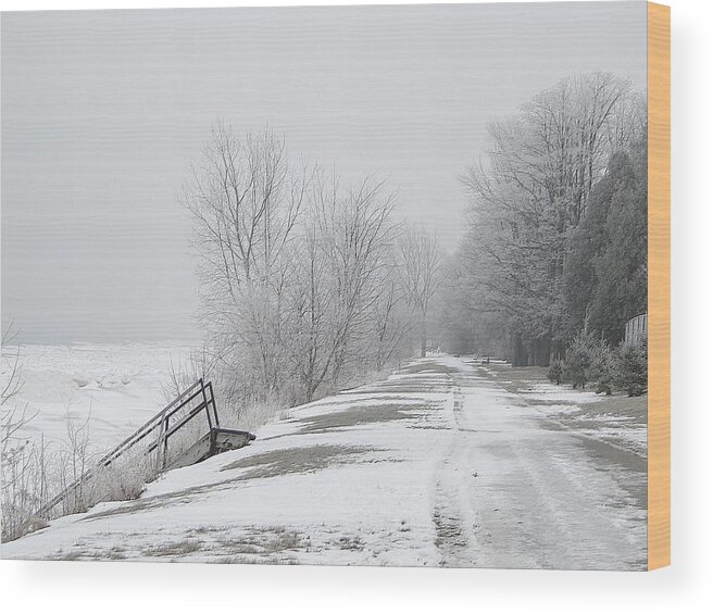 Lake Huron Wood Print featuring the mixed media Winter on the Old Lakeshore by Bruce Ritchie