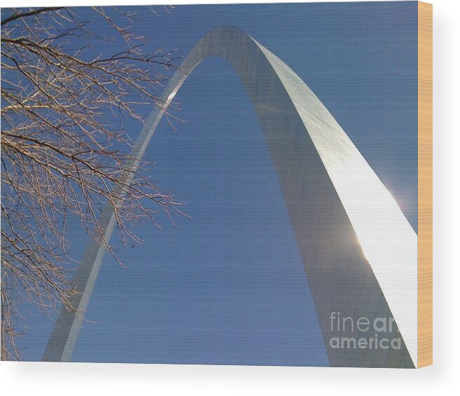 Gateway Arch Wood Print featuring the photograph Winter St. Louis Arch by Barbara Plattenburg