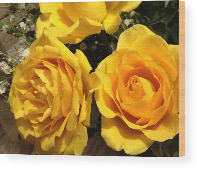 Roses Wood Print featuring the photograph Yellow Roses by Debbie Levene