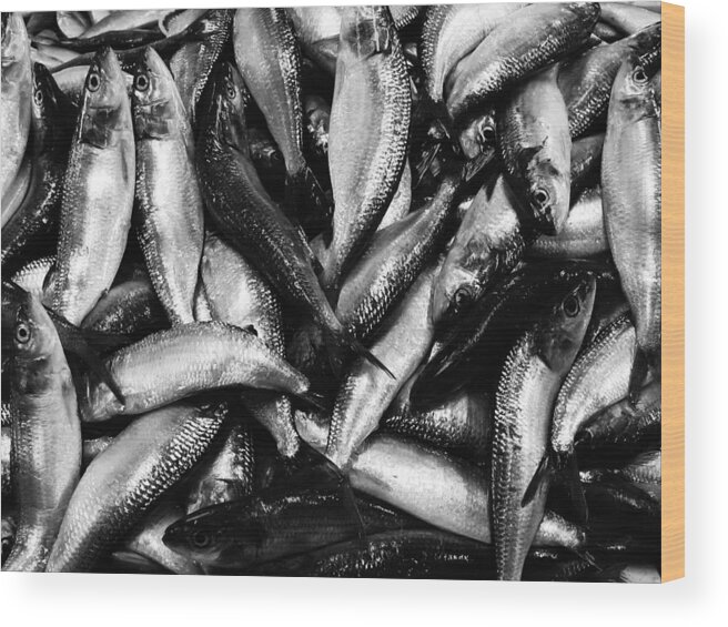 Fish Wood Print featuring the photograph 09025 by Jeffrey Freund