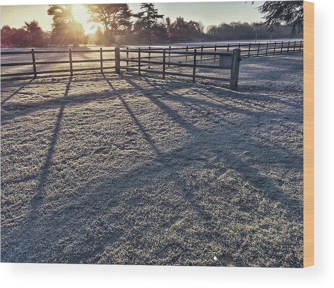 Bitter Wood Print featuring the photograph A frosty paddock #1 by Tom Gowanlock