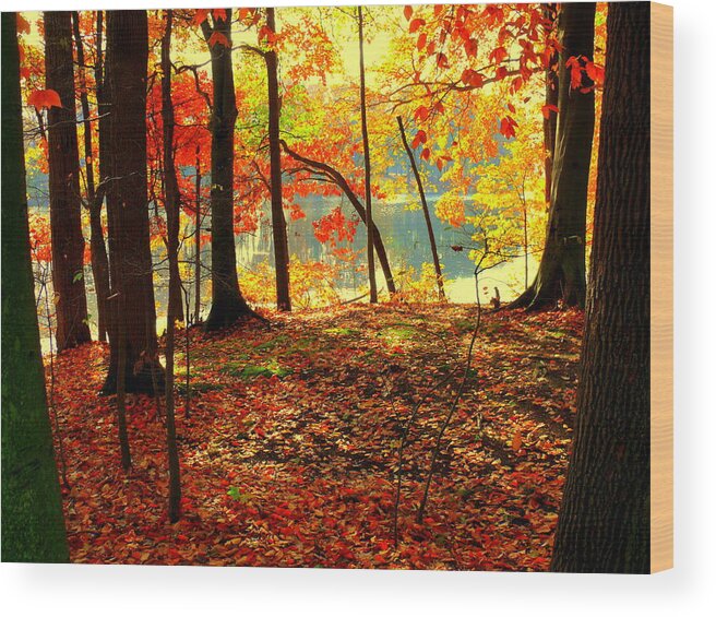 Akeview Wood Print featuring the photograph Autumn lake #1 by Aron Chervin