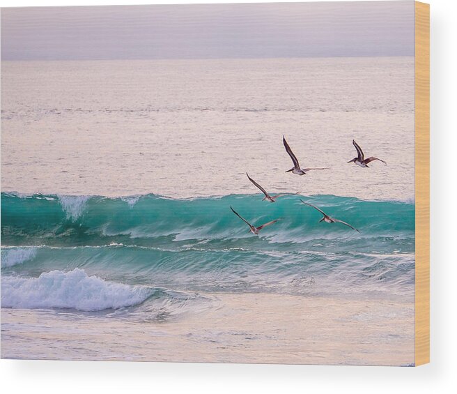 Pelicans Wood Print featuring the photograph Cruising by Derek Dean