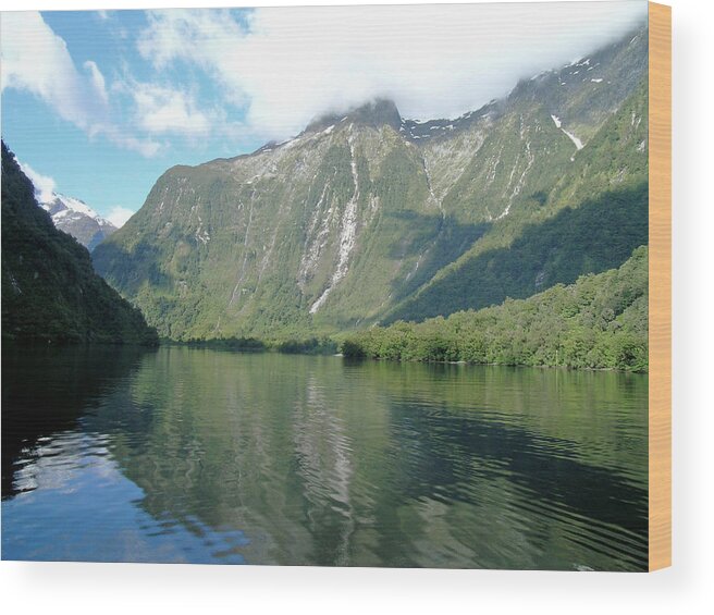 Doubtful Sound Wood Print featuring the photograph Doubtful Sound, New Zealand No. 3 by Sandy Taylor
