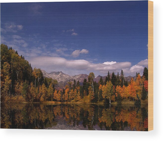 Autumn Wood Print featuring the photograph Fall #1 by Mark Smith