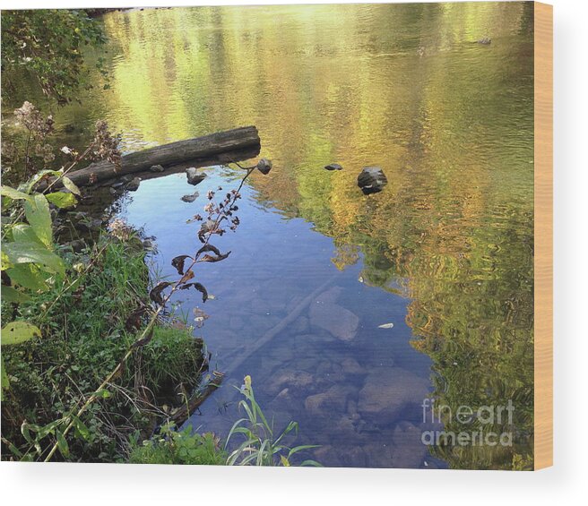  Wood Print featuring the photograph Fall Reflection #1 by Mark Messenger