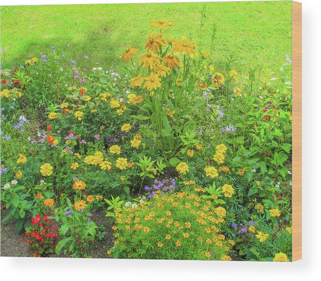 Sunflower Wood Print featuring the photograph Flora Garden #3 by Cesar Vieira