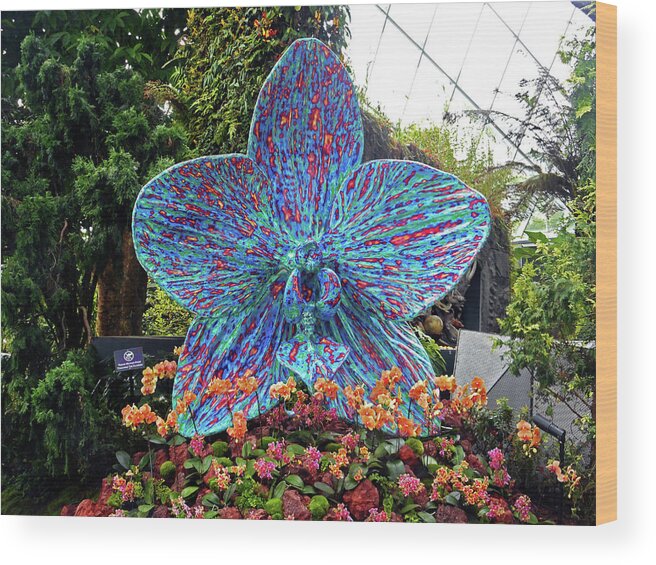 Cloud Forest Wood Print featuring the photograph Flower Dome 4 #1 by Ron Kandt