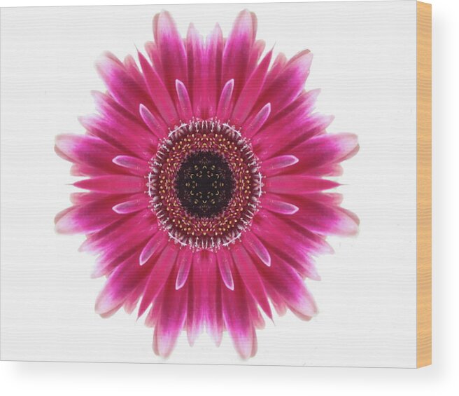 Flower Mandala Wood Print featuring the photograph Flower Mandala #2 by Andrea Kollo