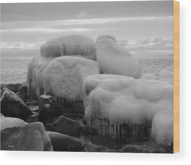 Black And White Wood Print featuring the photograph Frozen Over #1 by Alison Gimpel