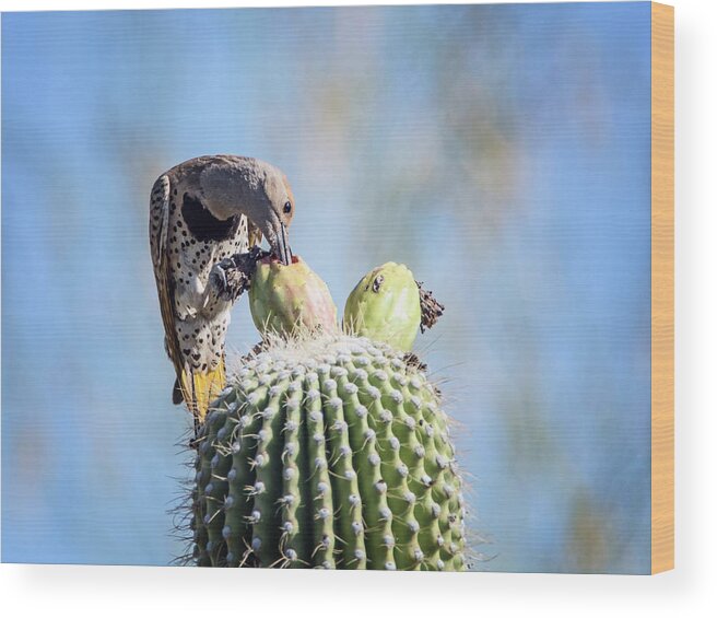 Gilded Wood Print featuring the photograph Gilded Flicker 3387 #2 by Tam Ryan