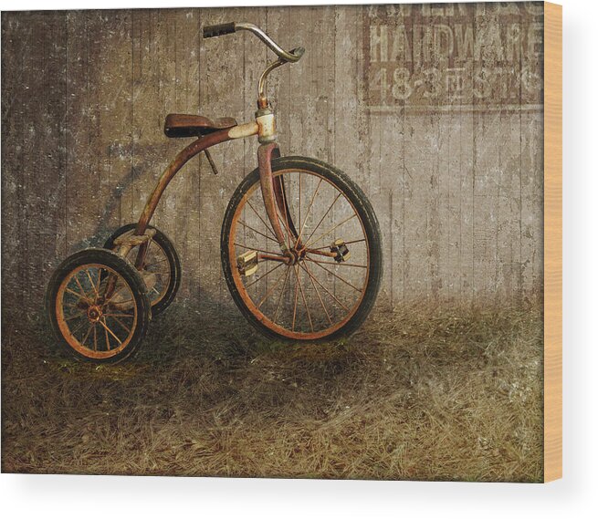 Tricycle Wood Print featuring the photograph Homeless #1 by John Anderson