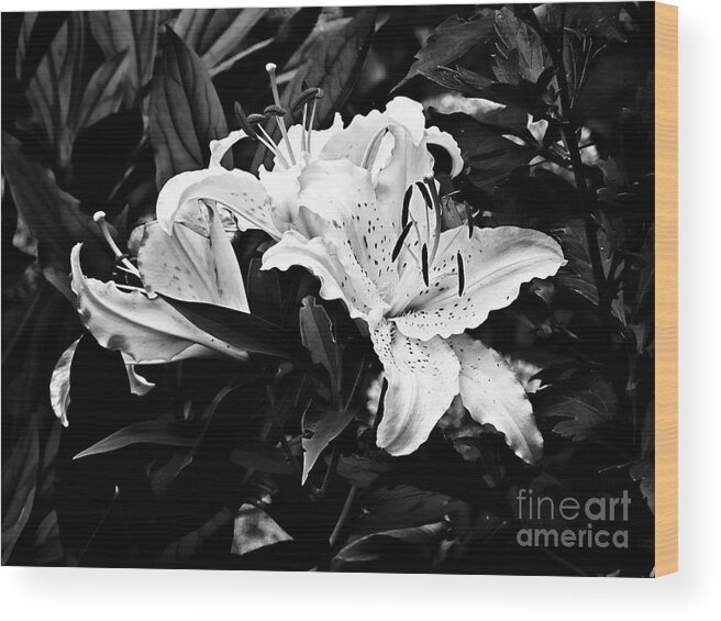 Flora Wood Print featuring the photograph Lilies 2 by Marcia Lee Jones