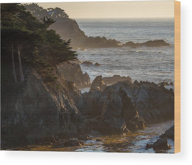 Big Sur Wood Print featuring the photograph Living on the Edge #1 by Derek Dean