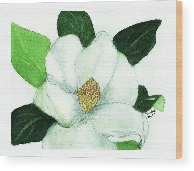 Magnolias Wood Print featuring the painting Magnolia II #1 by Joan Zepf
