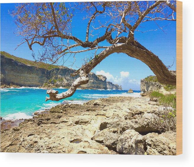 Guadeloupe Wood Print featuring the photograph Porte d Enfer, Guadeloupe #1 by Cristina Stefan