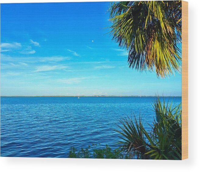 Blue Skies Wood Print featuring the photograph Private Paradise #1 by Carlos Avila