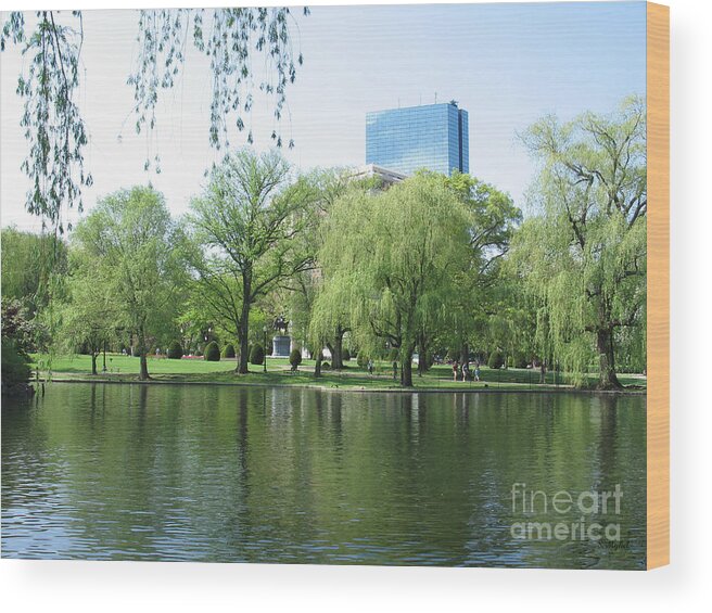 Public Wood Print featuring the photograph Public Garden Boston Massachusetts #1 by S Mykel Photography