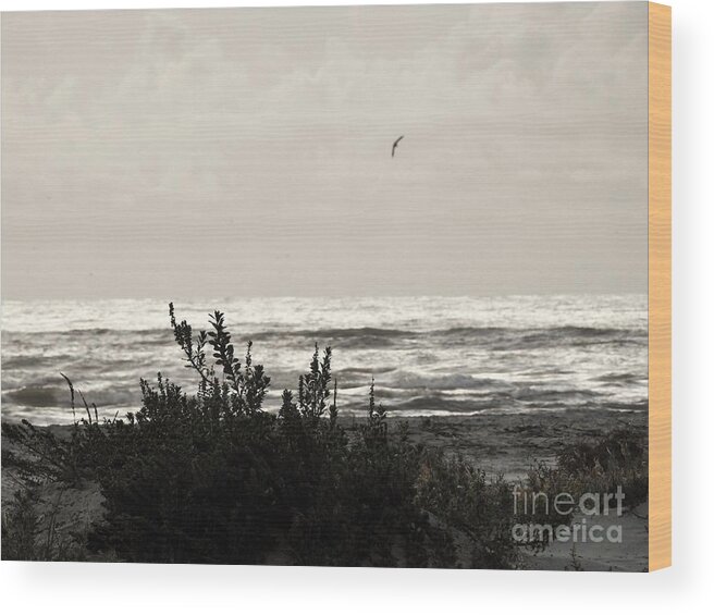 Sea Wood Print featuring the photograph Seaside #1 by Jan Gelders