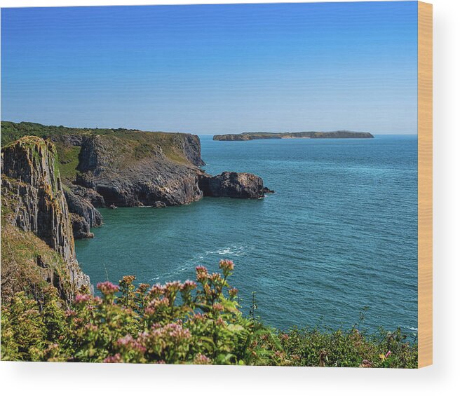 Pembrokeshire Wood Print featuring the photograph Skrinkle Haven #1 by Mark Llewellyn