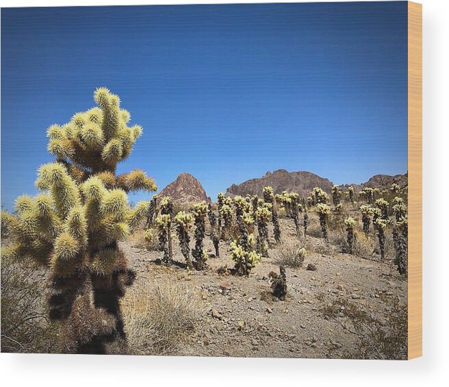 Cactus Wood Print featuring the photograph The Gathering by Brad Hodges