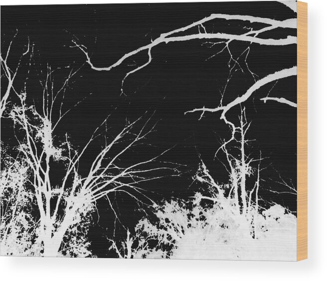 Digital Wood Print featuring the photograph Tree Tops #1 by Max Mullins