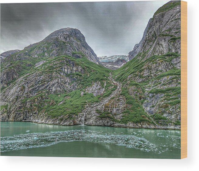 Arm Wood Print featuring the photograph Tracy Arm Fjord Sawyer Glacier #11 by Alex Grichenko