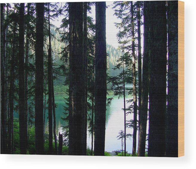 Northwest Wood Print featuring the photograph Mountain lake #1 by Shirley Heyn