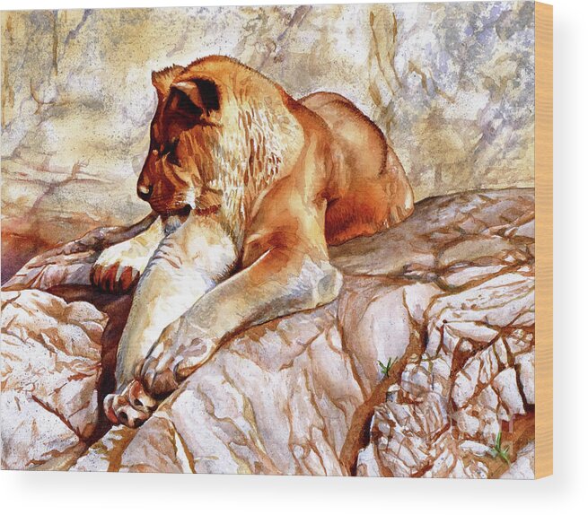 Lion Wood Print featuring the painting #232 Sleeping Lioness #232 by William Lum