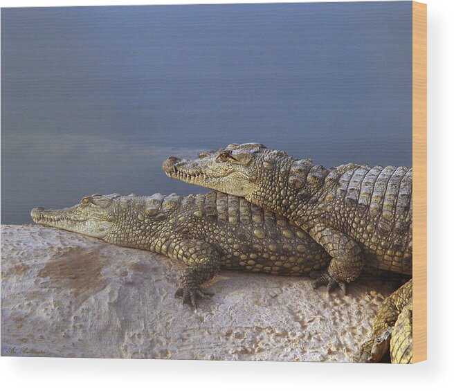 Crocodile Wood Print featuring the photograph Crocodile resting #3 by Arik Baltinester