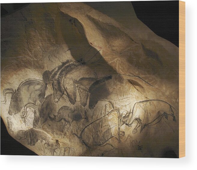 Animal Wood Print featuring the photograph Stone-age Cave Paintings, Chauvet, France by Javier Truebamsf