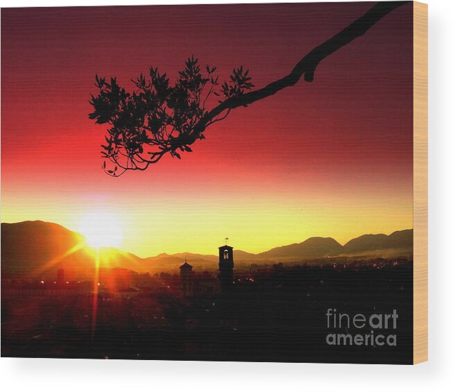 Sunset.evening.landscape Wood Print featuring the photograph Sunset in Tuscany #3 by Kumiko Mayer