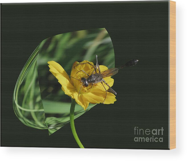 Wasp Wood Print featuring the photograph 3D Wasp by Donna Brown