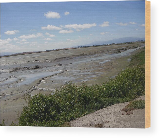 Bay Wood Print featuring the photograph Mud Flats #4 by Edward Wolverton