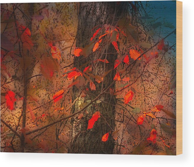 Autumn Wood Print featuring the photograph 4019 by Peter Holme III