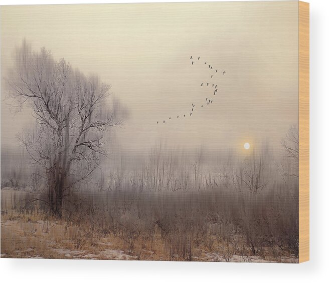 Landscape Wood Print featuring the photograph 4191 by Peter Holme III