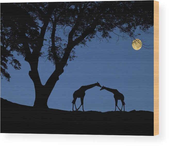 Animal Wood Print featuring the photograph 4443 by Peter Holme III