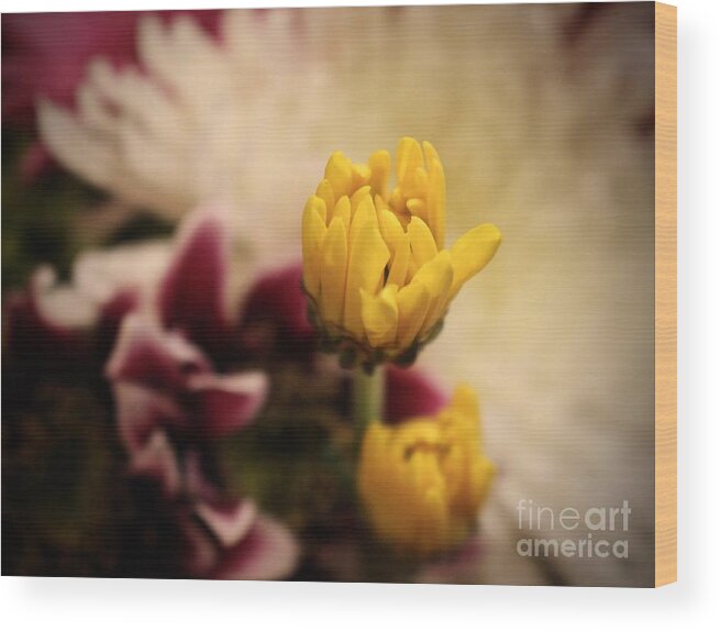 Yellow Wood Print featuring the photograph Flowers #53 by Deena Withycombe