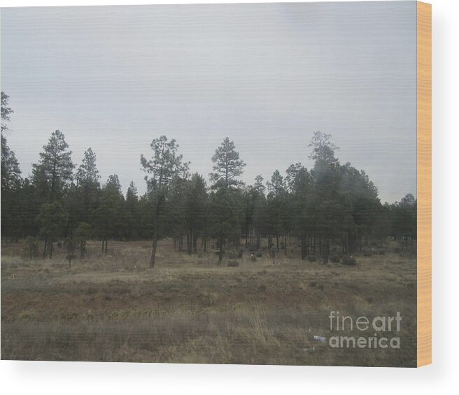 Arizona Wood Print featuring the photograph Arizona Landscape #7 by Frederick Holiday