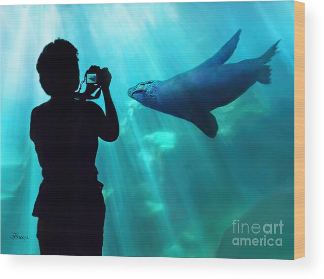 Aquarium Of The Pacific Wood Print featuring the photograph A Captured Moment by Jennie Breeze