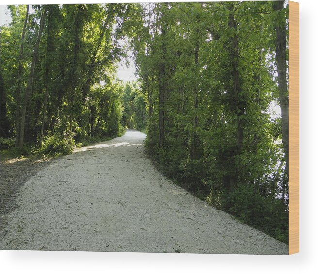  Wood Print featuring the photograph A Path by Robin Coaker